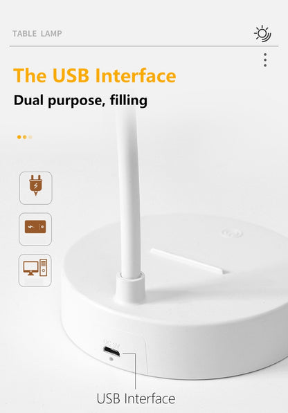 LED Desk Lamp