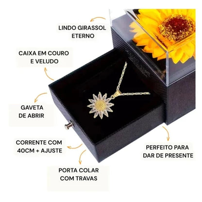 Colar Flor do Sol 🌻 – Laço de amor banhado a ouro 18K + Caixa Presente Luxuosa