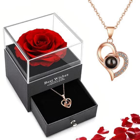 Kit Amor Infinito – Colar “Eu te amo” 100 Idiomas + Caixa Presente Luxuosa